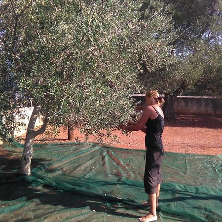 מלון צ'לייה מספיקה Casa Bianca Alme מראה חיצוני תמונה